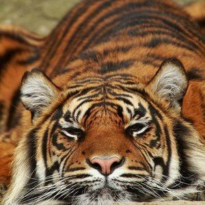 Meet your Posher, Eliud